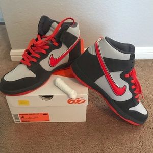 Nike Dunk High 6.0 PRM